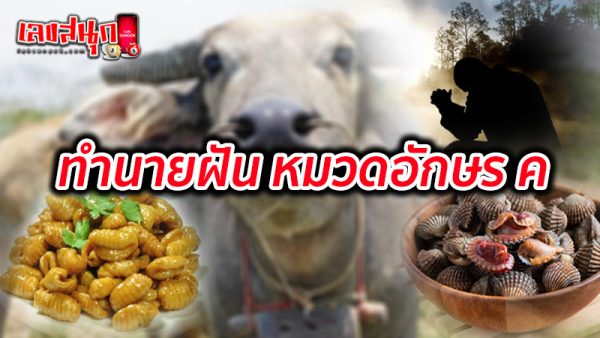 รูปภาพทำนายฝัน หมวดอักษร คของ lekdedonline