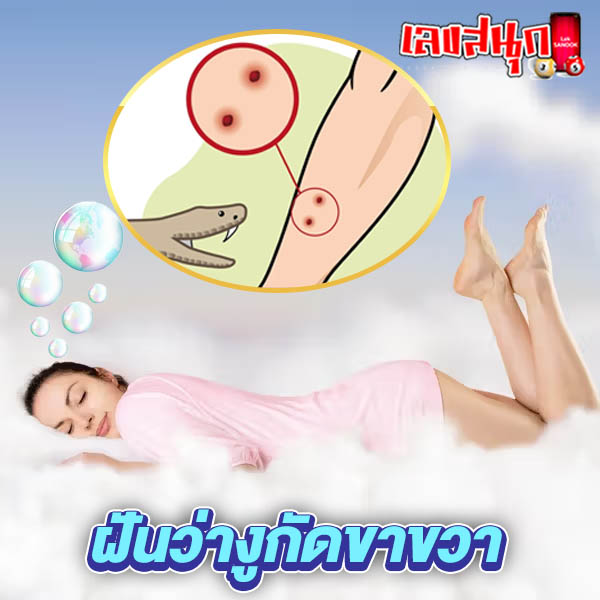 รูปภาพฝันว่างูกัดขาขวาของ heng99