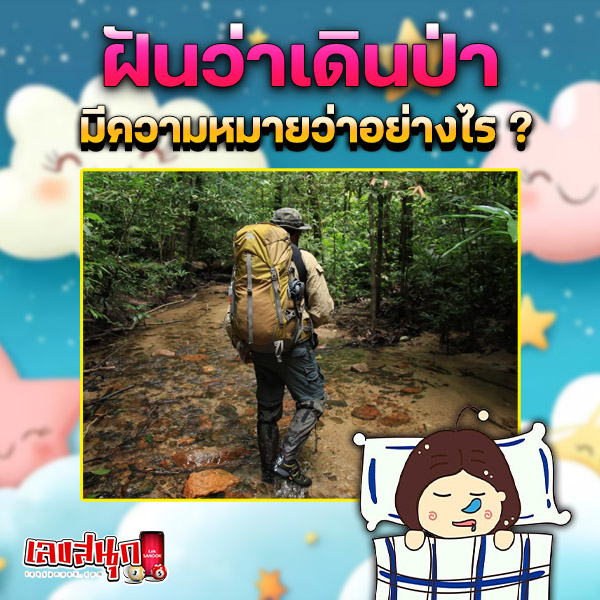 รูปภาพฝันว่าเดินป่าของ lekdedonline