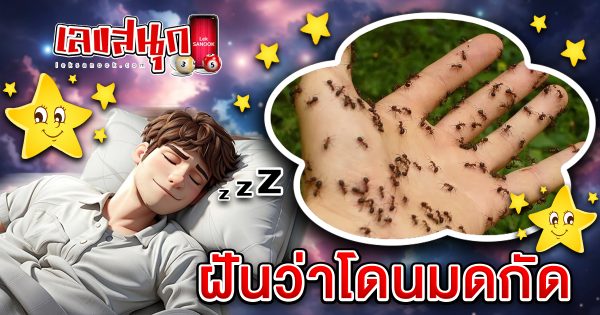 ฝันว่าโดนมดกัด-"Dreaming of being bitten by ants"