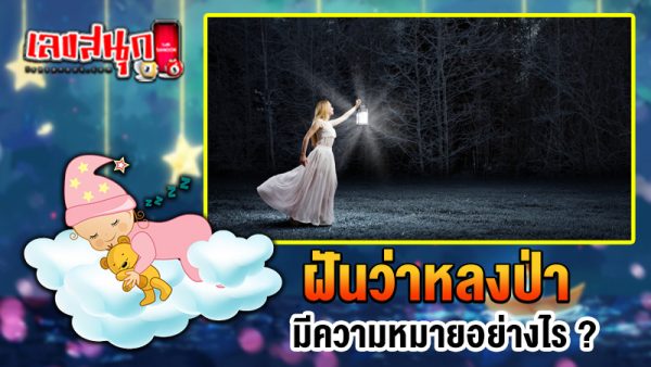 รูปภาพฝันหลงทางของ heng99