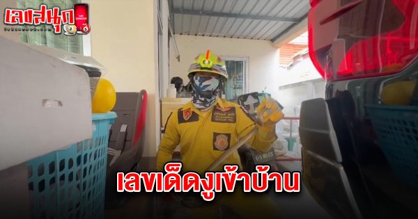เลขเด็ดงูเข้าบ้าน 16/4/68-"Lucky number, snake enters the house 16-4-68"