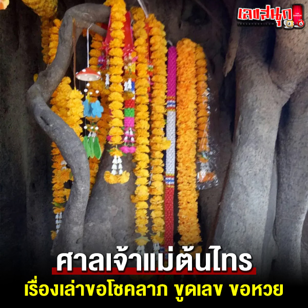 รูปภาพเรื่องเล่าขอโชคขอหวยศาลเจ้าแม่ต้นไทรของ heng99