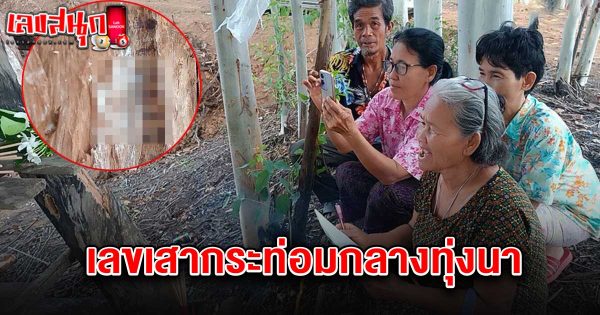 เลขเสากระท่อมกลางทุ่งนา 16/4/68 - "Famous fun numbers"