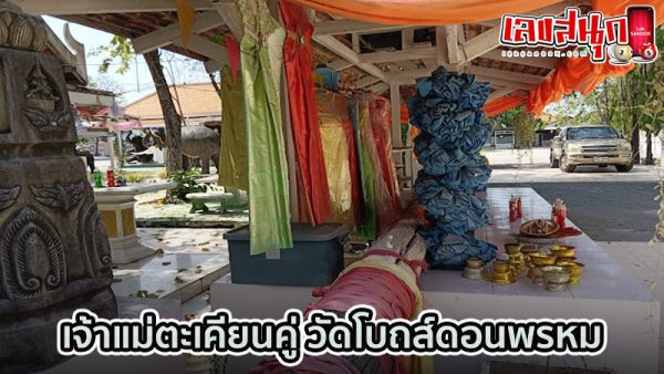 รูปภาพต้นตะเคียนคู่ของ heng99