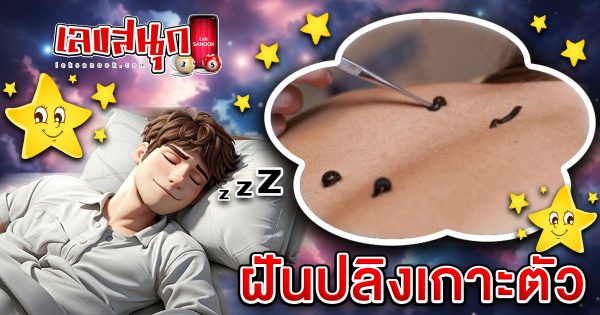 ฝันปลิงเกาะตัว - "Fun Numbers Belief"