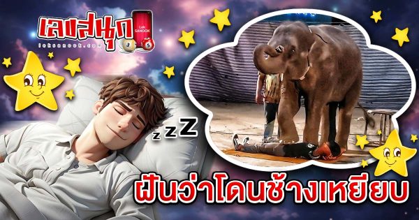 ฝันว่าโดนช้างเหยียบ-"Dreaming of being trampled by an elephant"
