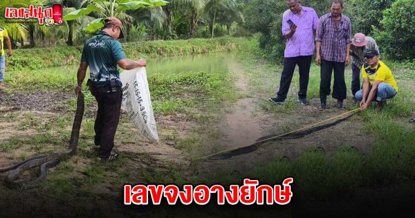 เลขจงอางยักษ์ 1/6/68-"famous people's fun numbers "