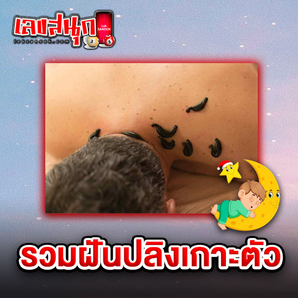 รวมฝันปลิงเกาะตัวของ heng99