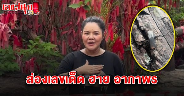 เลขเด็ดฮาย อาภาพร 1/7/68-"Hi Aphaporn's lucky number 1-7-68"