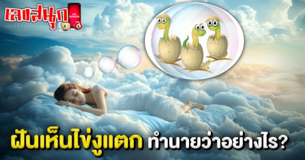 รูปภาพฝันเห็นไข่งูแตกของ heng99