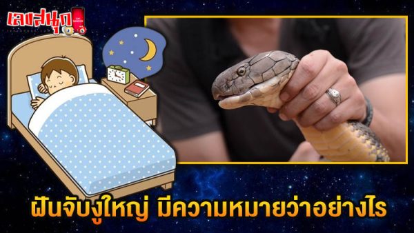 รูปภาพฝันว่าว่าจับงูใหญ่หมายถึงอะไรของ lekdedonline
