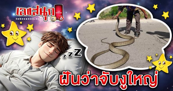 ฝันจับงูใหญ่-"Dreaming of catching a big snake"