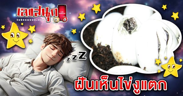 ฝันเห็นไข่งูแตก-"Dreaming of seeing a snake egg break"