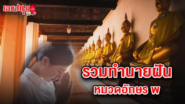 รูปภาพรวมทำนายฝันหมวดอักษร พของ lekdedonline
