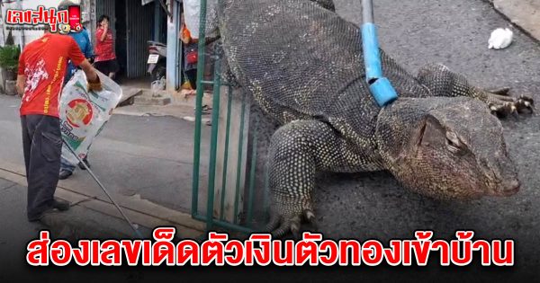 เลขตัวเงิน ตัวทองเข้าบ้าน 1/7/68-"Famous fun numbers"