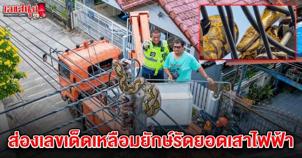 เลขงูเหลือมยักษ์ 16/7/68-"famous people's fun numbers"