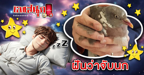 ฝันว่าจับนก -"Dreaming of catching a bird"