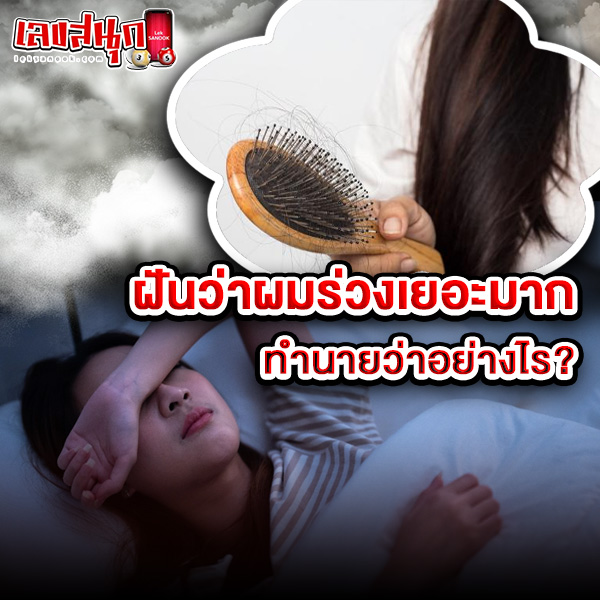 รูปภาพฝันว่าผมร่วงทำนายว่าอย่างไรของ lekdedonline