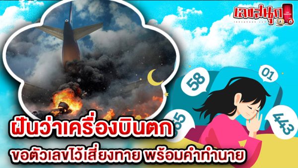 รูปภาพทำนายฝันพร้อมเลขเสี่ยงทายฝันว่าเครื่องบินตกของ lekdedonline
