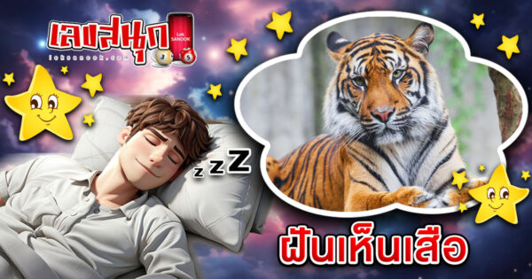 ทำนายฝัน ฝึกเห็นเสือ -" Dream interpretation: Seeing a tiger "