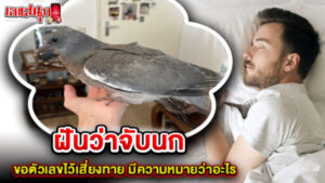 ฝันว่าจับนก -"Dreaming of catching a bird"
